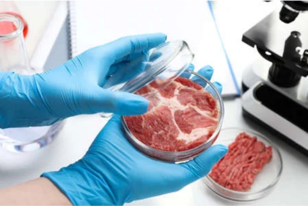 Aston University Predicted to Be a Top UK Center for Cultivated Meat 1832871