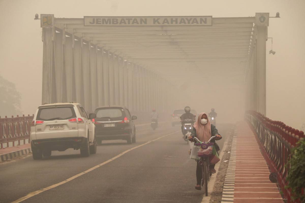 Indonesian Government Sued for Gross Negligence Over Toxic Wildfires