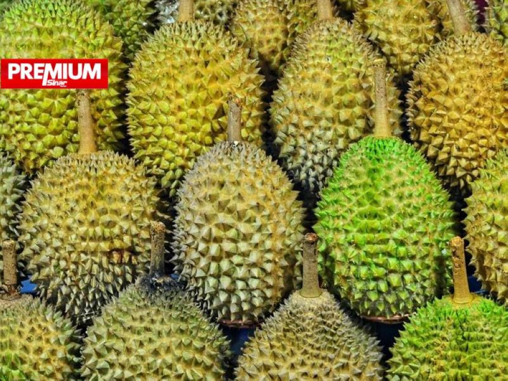 Eksport durian Malaysia ke China pada 2019 dianggarkan bernilai RM275 juta.