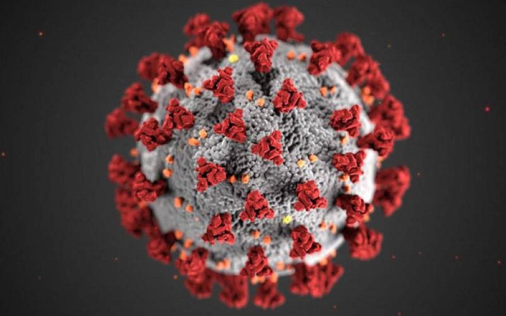 Virus Covid-19 mungkin akan terus menular lebih lama dalam kalangan penduduk dunia.