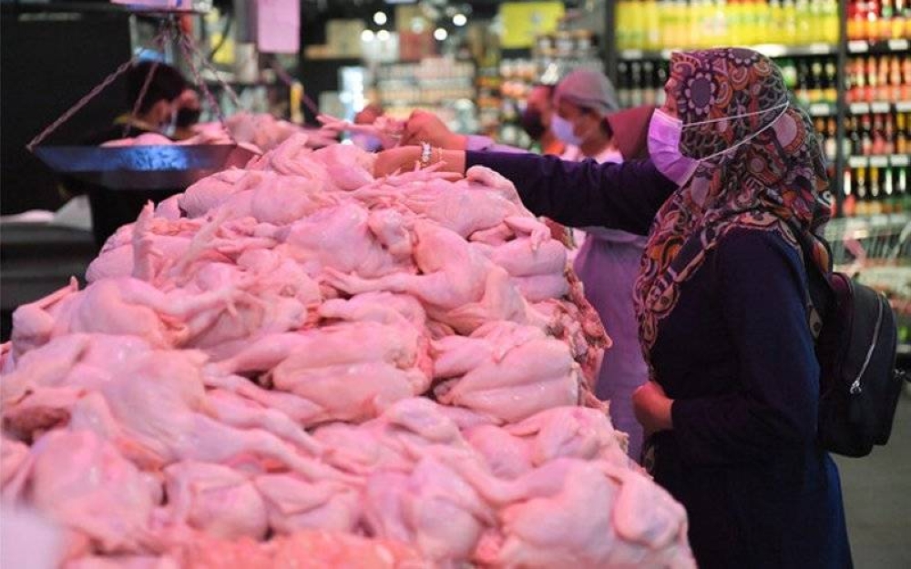 Jawapan dalam media sosial oleh KPDNHEP berhubung isu harga ayam mentah baru-baru ini mendapat kecaman netizen. - Foto Bernama