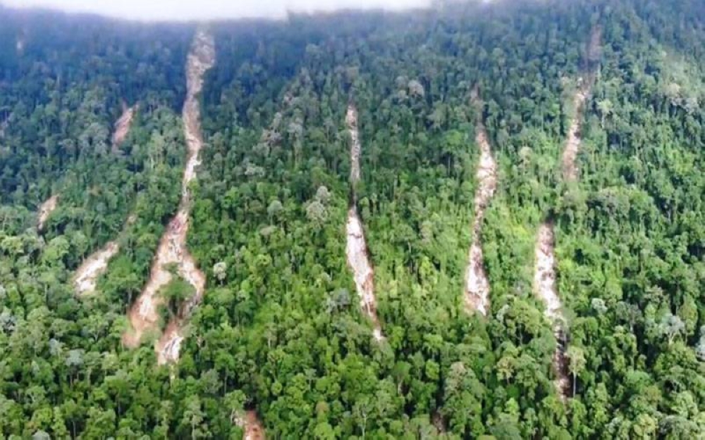 Beberapa lokasi kesan tanah runtuh yang mencetuskan bencana kepala air di Titi Hayun. FOTO: JMG