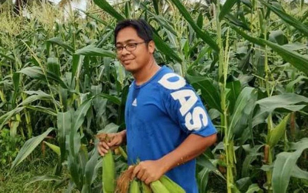 Hasrul Nizam menanam jagung sebagai alternatif pusingan modal bagi membeli racun, baja dan makanan ruminan yang harganya terus meningkat.