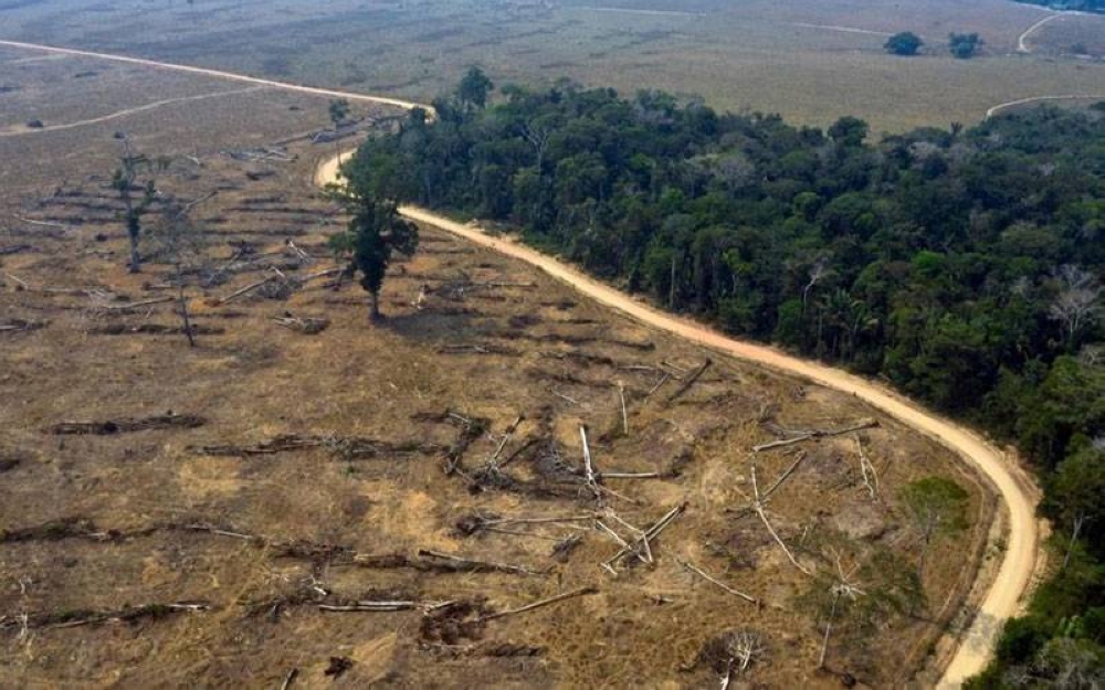 Hutan Amazon di Amerika Selatan kini musnah akibat perbuatan manusia sejak tahun 1988 lagi. - Foto AFP