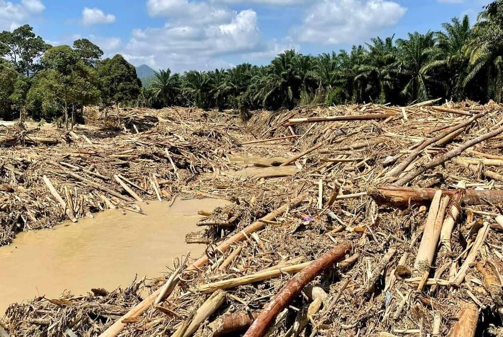 Beginilah keadaan sisa kayu dan pokok yang bertimbun di sepanjang Sungai Telemong, Bentong.