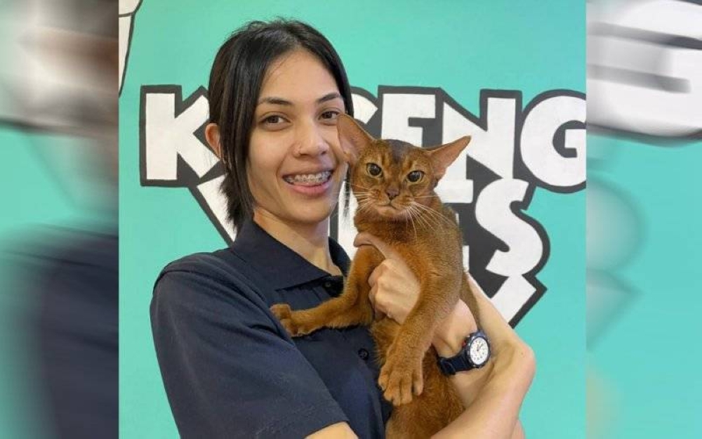 Shareefa amat mementingkan keselesaan kucing pelanggan membuatkan pihaknya terpaksa menolak lebih 500 permintaan untuk perkhidmatan hotel kucing. 