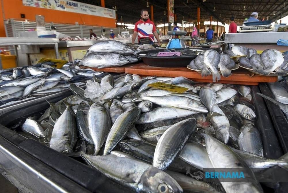 Kekurangan stok ikan juga boleh disebabkan oleh sesetengah peralatan perikanan yang sedia ada terlalu berkesan dalam menangkap ikan sehingga mampu memerangkap ikan bersaiz kecil dan bukan sasaran.