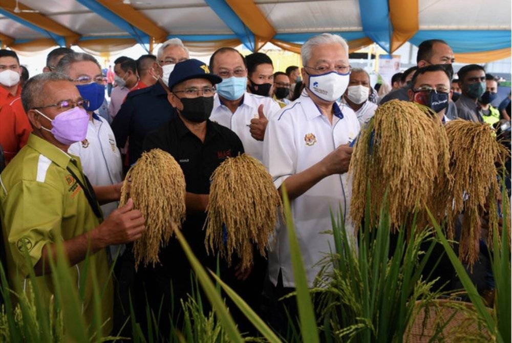 Perdana Menteri, Datuk Seri Ismail Sabri Yaakob (dua, kanan) ketika melawat tapak pameran selepas menyempurnakan Majlis Pelancaran Benih Padi IS21 di Loji Pengeluaran Benih Asas dan Tapak Penyelidikan Padi di Sekinchan pada November lepas. - Foto Bernama