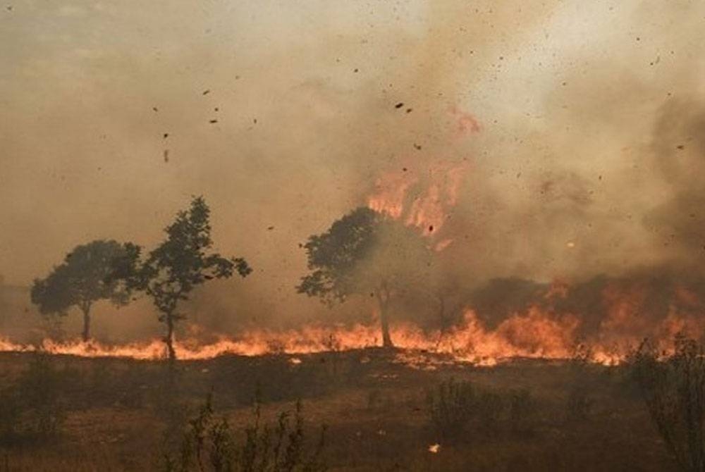 Hutan terbakar akibat cuaca terlampau panas di Sepanyol baru-baru ini. - Foto AFP