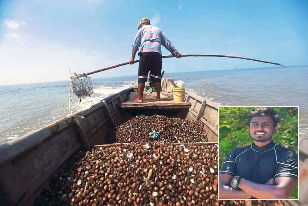 Hidupan kerang di Malaysia semakin berkurang termasuk akibat aktiviti mengutip sumber itu secara tidak terkawal. (Gambar dalam :Mogesh)