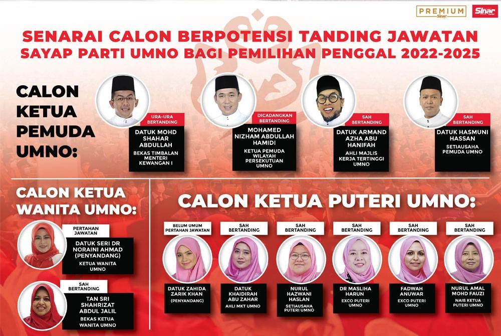 Senarai calon-calon berpotensi bertanding jawatan ketua tiga sayap UMNO pada pemilihan parti itu kali ini.