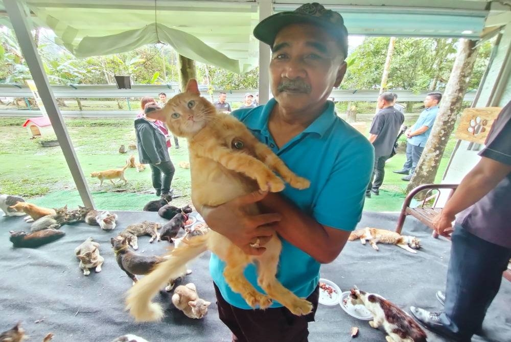 Mohd Hashim sanggup &#039;bergolok-bergadai&#039; demi membiayai makanan dan keperluan ratusan kucing kesayangannya.