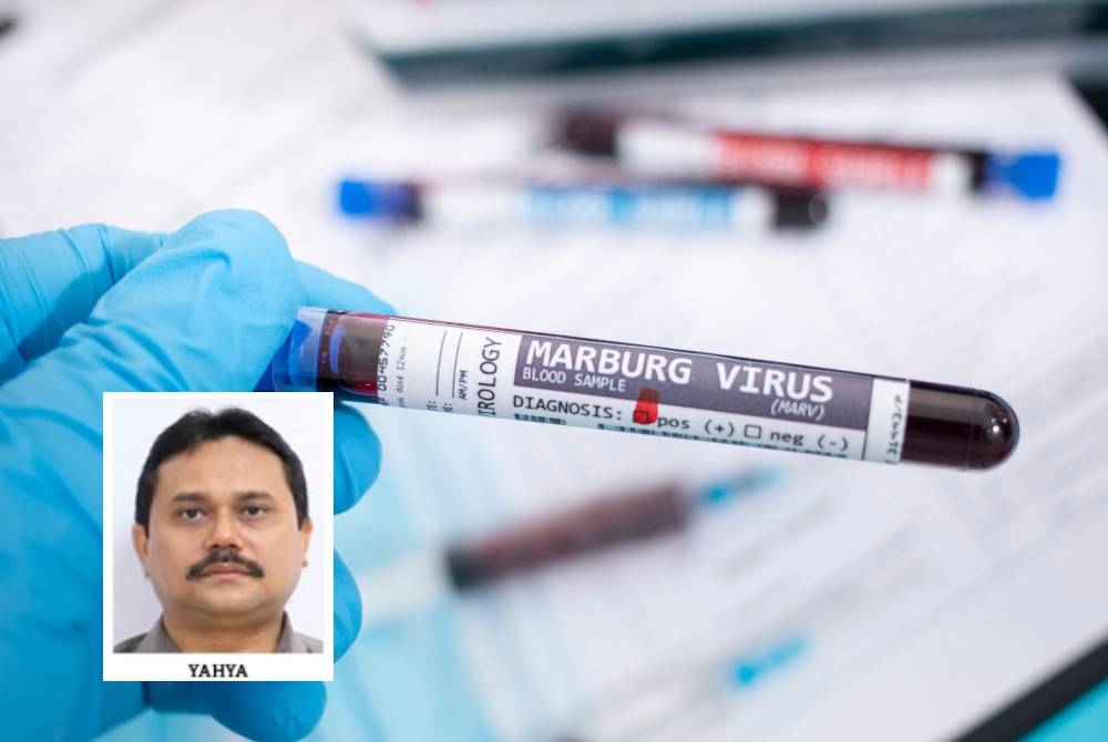 Marburg adalah sebahagian daripada keluarga filovirus, yang disebarkan daripada haiwan liar seperti kelawar dan monyet. Gambar kecil: Dr Yahya