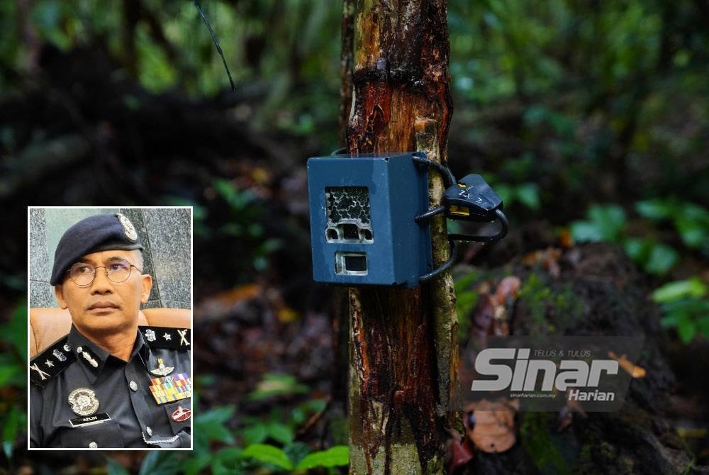 Antara kamera perangkap yang dipasang di sekitar Taman Negara Sungai Relau, Pahang. - Foto Sinar Harian MOHD HALIM ABDUL WAHID (Gambar kecil: Azlin)