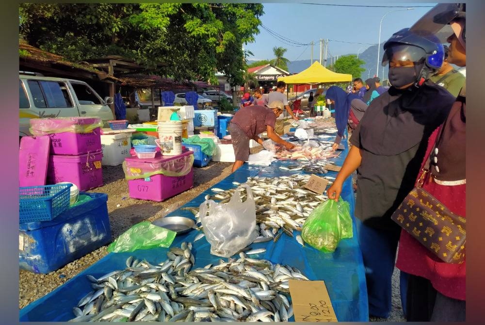 Orang ramai membeli ikan daripada peraih yang dijual di Chepor, Ipoh kerana harga yang lebih berpatutan.