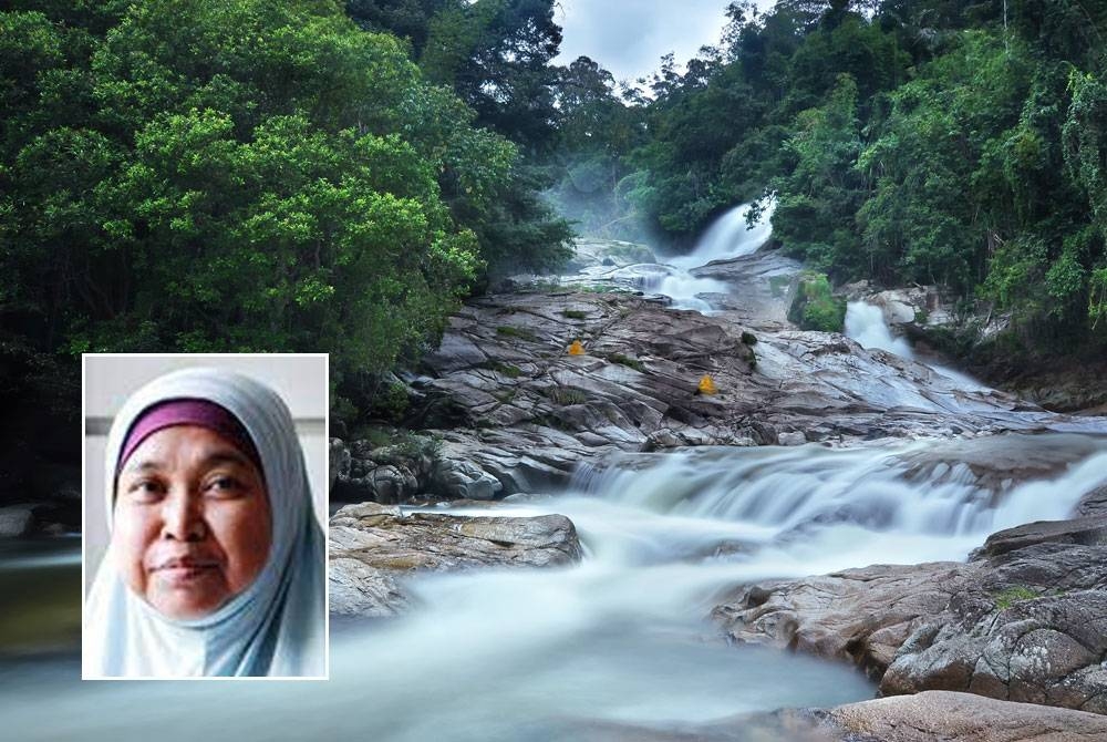 Taman Eko Rimba Chamang, Bentong, Pahang. -Foto: Jabatan Perhutanan Semenanjung Malaysia, gambar kecil: Zainora