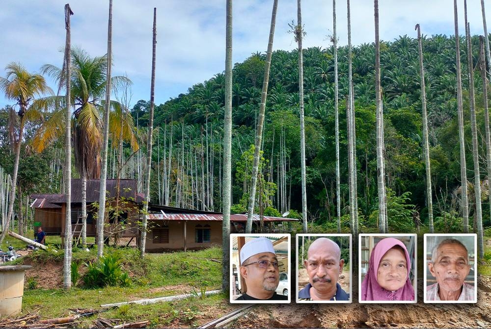 Keadaan rumah mangsa di Kampung Iboi yang tidak jauh dari tebing sungai dan dikategorikan dalam zon kuning sering dinaiki air menimbulkan kebimbangan. (Gambar kecil: Nor Mohamad, Ishak, Rahmah dan Mahmud)