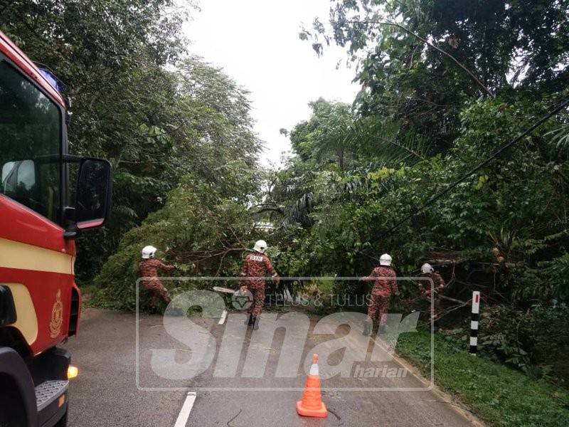 Pasukan bomba membersihkan pokok yang tumbang sehingga menghalang laluan. 