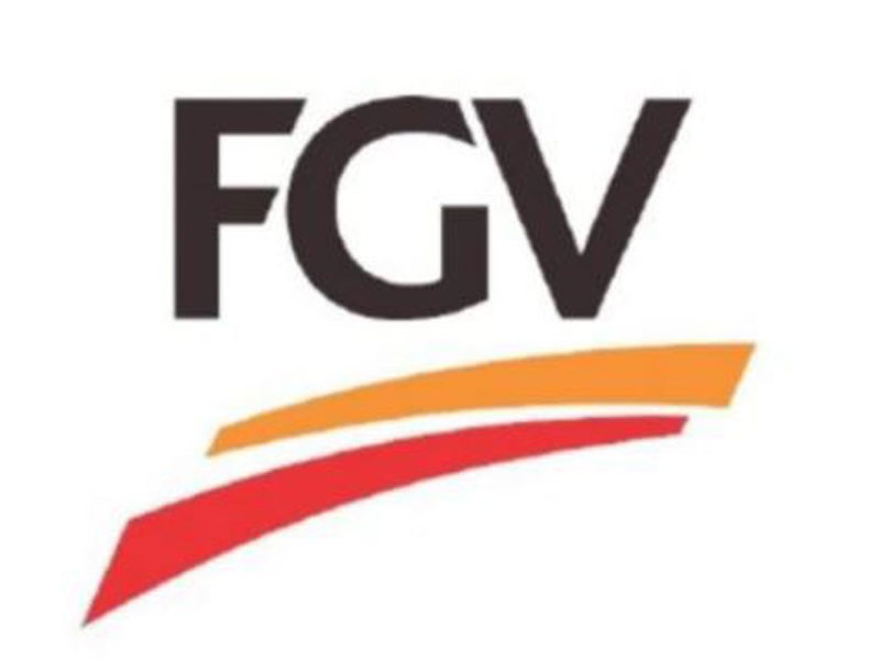 fgv