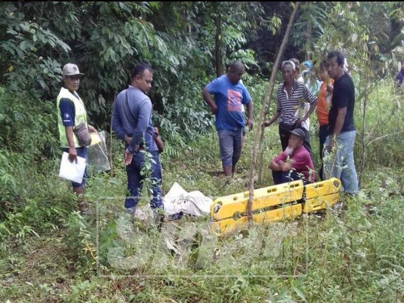 Anggota polis dan waris berada di lokasi kejadian mangsa ditemui mati selepas terjatuh dari pokok petai.
Attachments area
