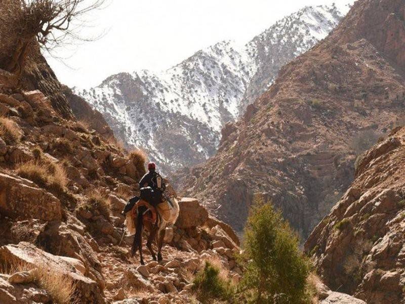 Kedua-dua mangsa ditemui di satu kawasan terpencil menghala ke puncak tertinggi Afrika Utara itu di Pergunungan Toubkal.