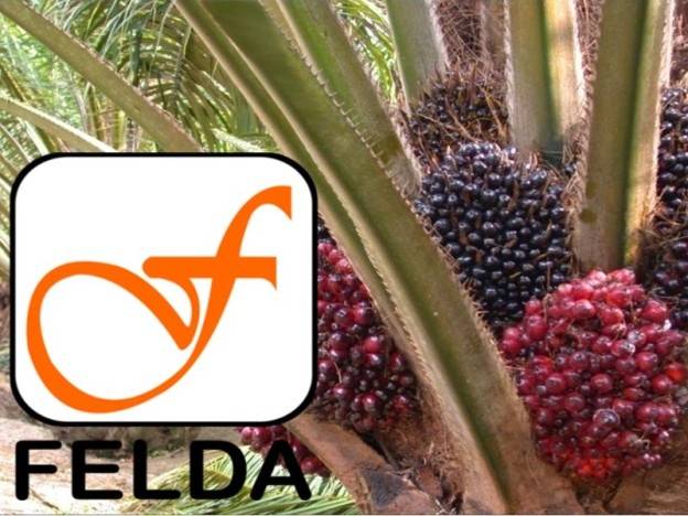 Felda