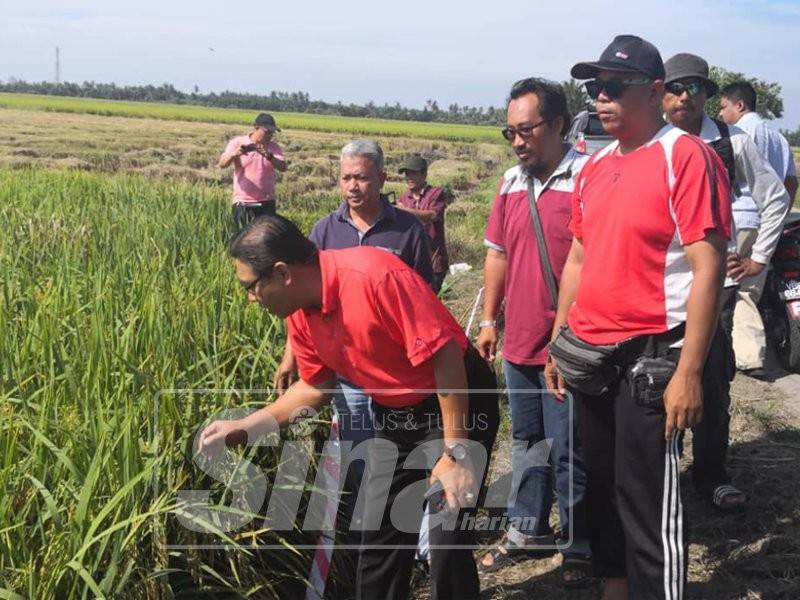 Muslimin (depan, kiri) bersama penduduk dan wakil agensi kerajaan berkaitan meninjau lot ladang yang diserang BPB di kawasan pengairan Sungai Leman.