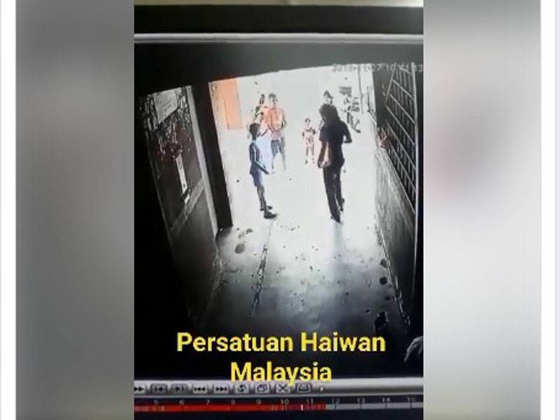 Paparan klip video insiden tersebut yang dimuat naik di laman Facebook berkenaan.