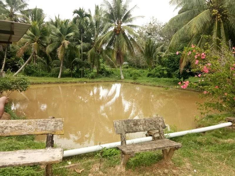 Kolam tempat mangsa terjatuh. - Foto Ihsan Polis