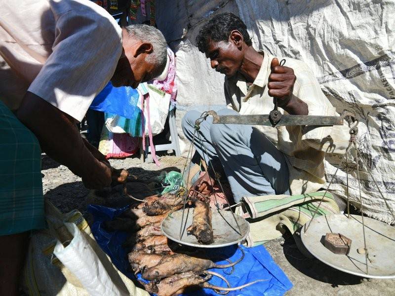 Penjual di pasar minggu kampung Kumarikata menjual tikus yang belum dan sudah dimasak. - Foto AFP