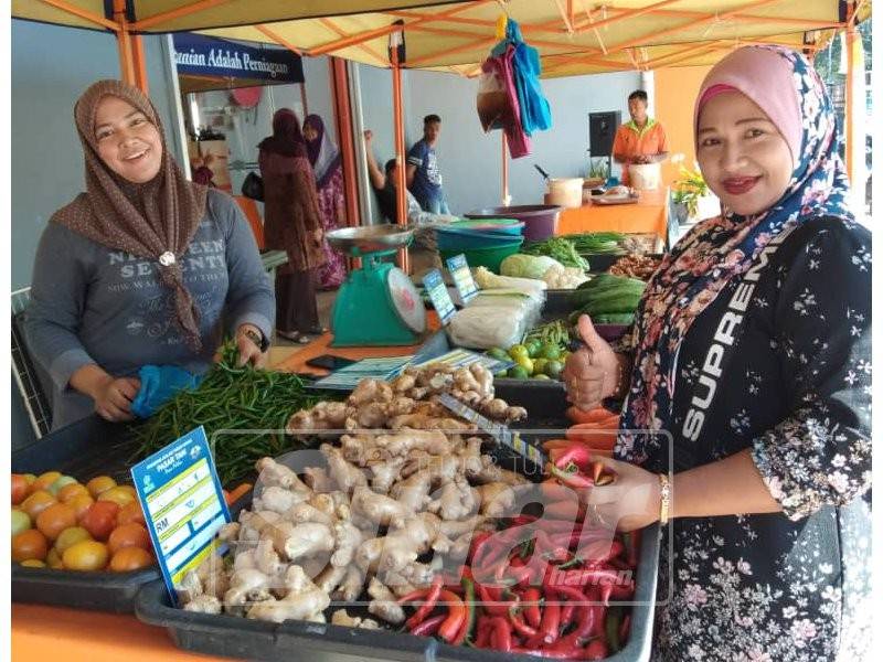 Jualan sayur segar terus dari ladang.