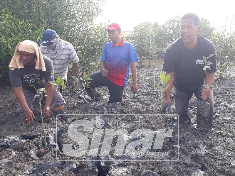 Che Ani (kanan) bersama komuniti nelayan Kuala Tunjang menanam anak pokok bakau di kawasan tersebut yang merupakan lokasi terakhir program penanaman pokok bakau oleh Jaring di seluruh negara pada tahun 2018.
