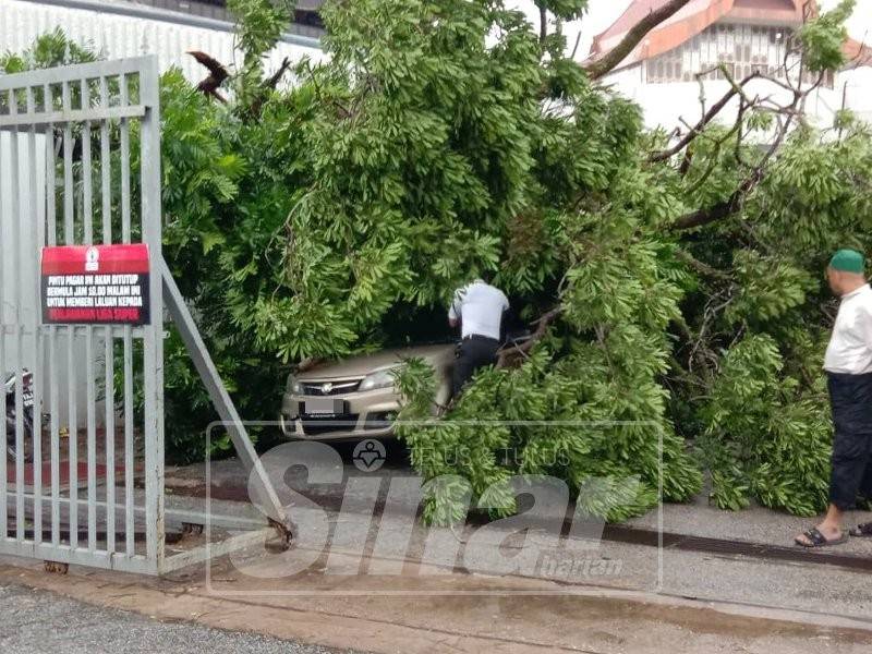 Sebuah kereta dihempap pokok yang tumbang di Kuala Terengganu.