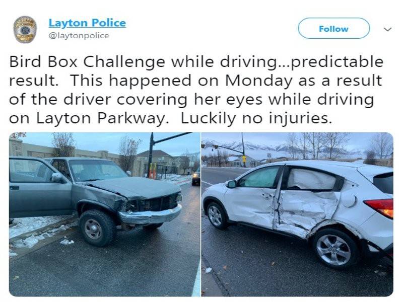 Remaja perempuan berusia 17 tahun dari Layton, yang menyahut cabaran 'Bird Box Challenge' terlibat dalam kemalangan. - Foto Twitter@laytonpolice