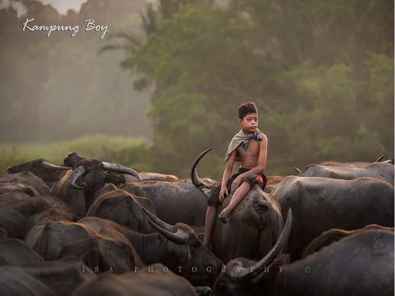 Foto:Facebook Syukor Khamis - Kampung Boy. 