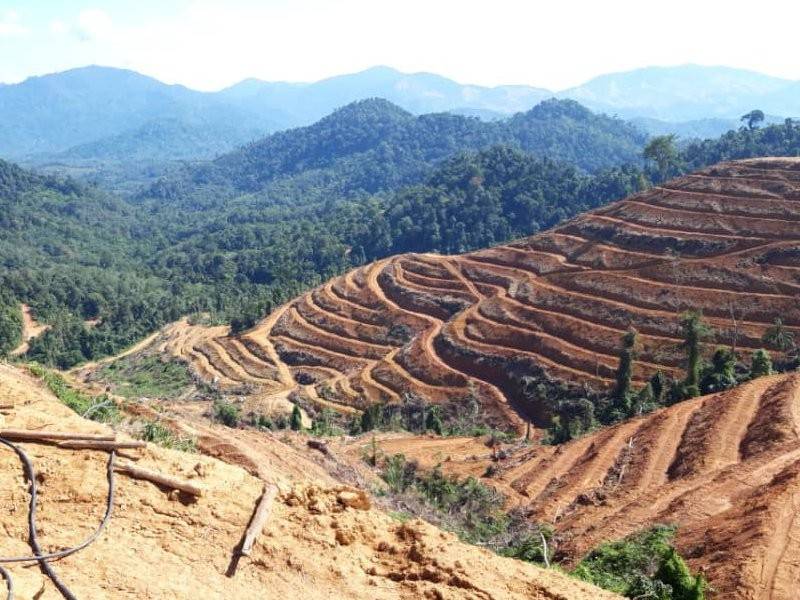 Kawasan Gunung Inas yang telah diratakan.