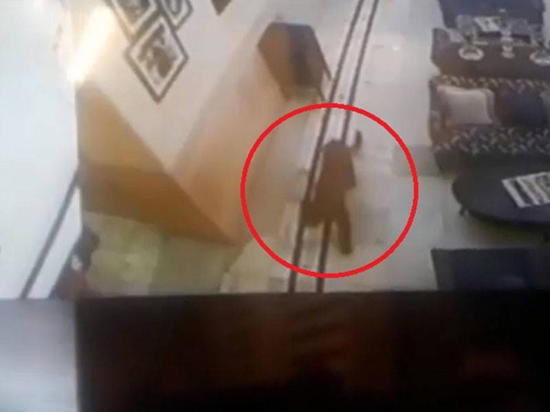 Imej rakaman CCTV menunjukkan haiwan terbabit berlegar-legar di lobi hotel. 