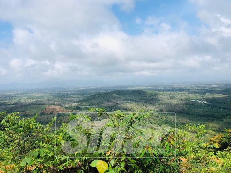 Permandangan dari puncak Bukit Kwong yang cantik mampu menarik orang ramai untuk mendaki.
