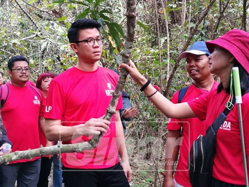 Kar Hing mendengar penerangan mengenai akar kayu ketika melawat Pulau Raia, semalam. 