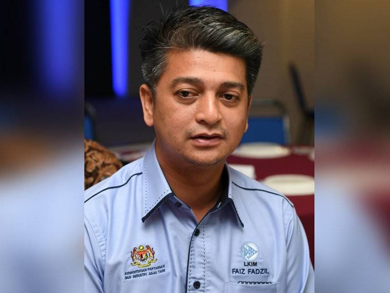 Faiz Fadzil - Foto Bernama