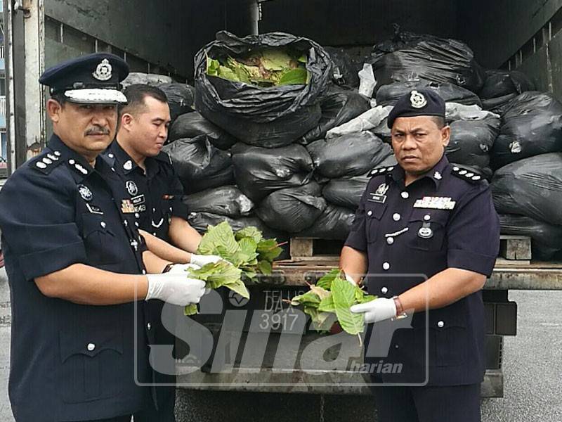 Polis rampas daun ketum, ubat batuk dalam lori ais