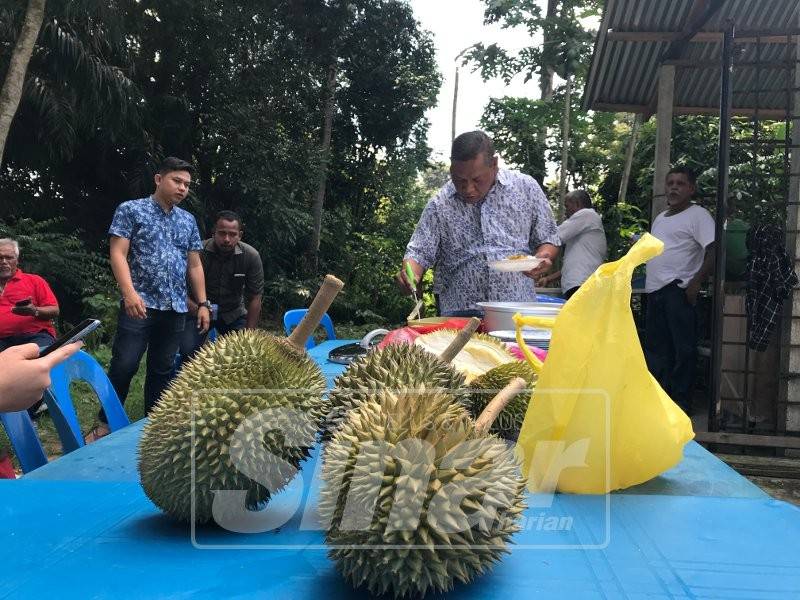 Bota terkenal dengan durian atau dipanggil doyan (loghat Perak) dan tempoyak.