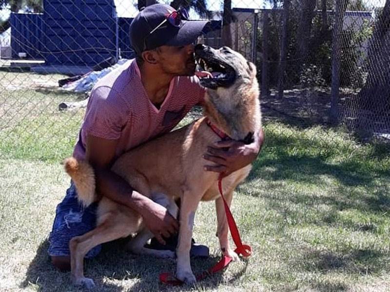 Wensel berasa amat gembira anjing kesayangannya terselamat daripada maut. - Foto Dailymail