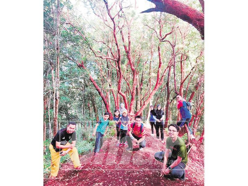 Pendaki menikmati panorama indah sambil bergambar kenangan di Red Forest. 