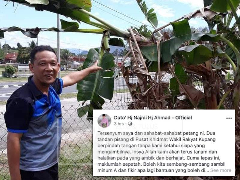 Pegawai PKWR DUN Kupang, Mohd Sabri Bakar menunjukkan buah pisang yang dicuri dan kenyataan ADUN Kupang yang dibuat menerusi Facebooknya.