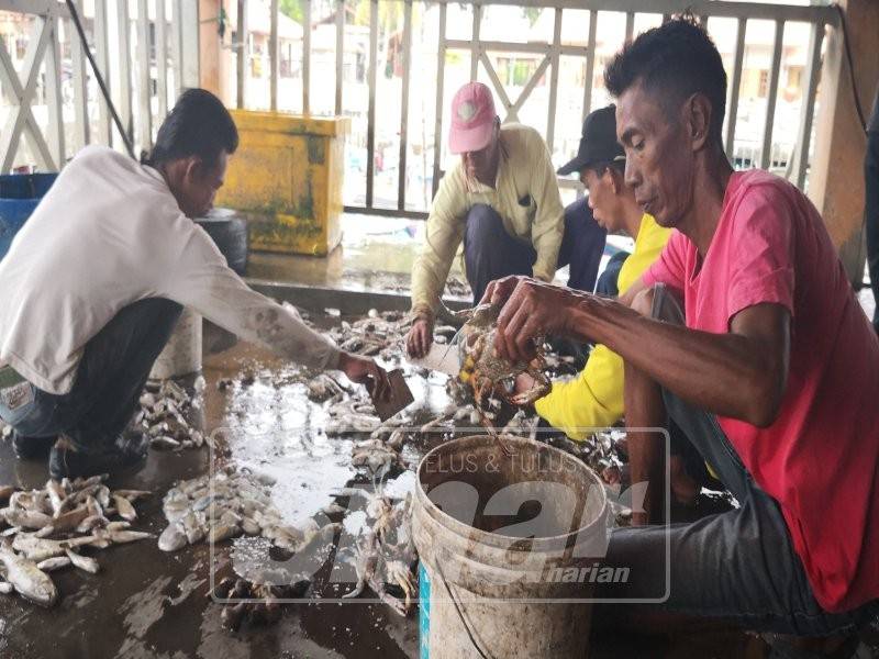 Ramai nelayan pantai di Kampung Sungai Haji Dorani bergantung kepada ESH jika tidak ke laut
