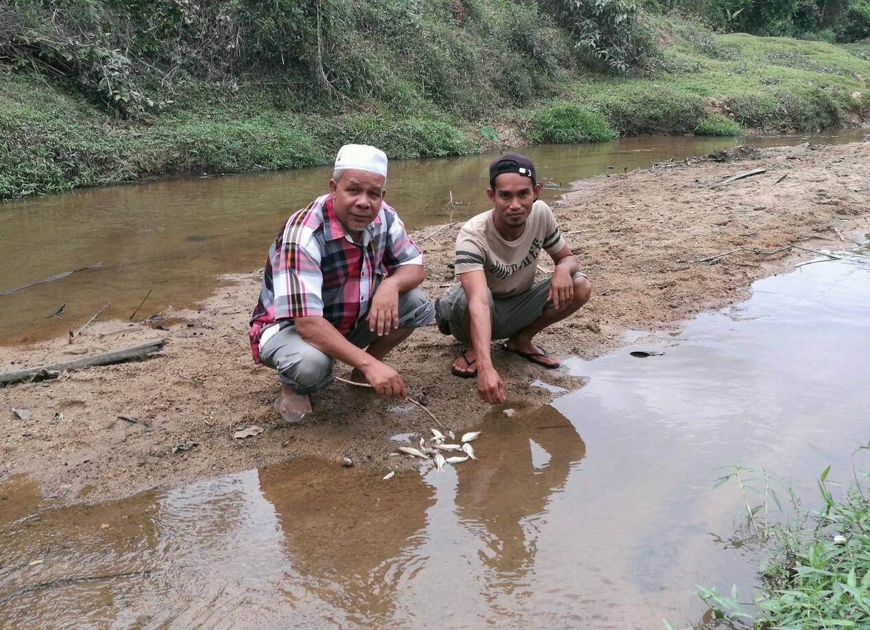 Abdullah (kiri) bersama penduduk kampung menunjukkan ikan yang mati akibat pencemaran sungai di Baroh Pial.