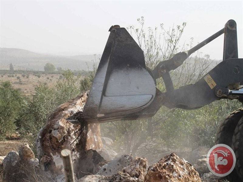 Jentolak Zionis meratakan tanah pertanian Palestin di Qalqiliya.