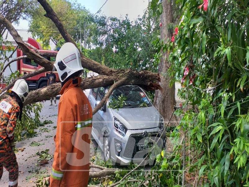 Keadaan kereta Perodua Axia dihempap pokok tumbang di Taman Rumpun Bahagia, Bachang di sini.