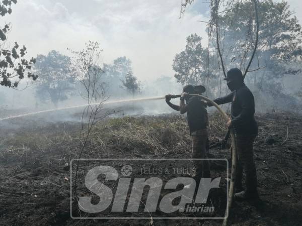 40 hektar hutan kawasan tanah gambut belum dibangunkan di Pusat Perindustrian Gebeng telah dilaporkan terbakar sejak petang semalam dan kini masih dalam usaha memadamkan kebakaran tersebut